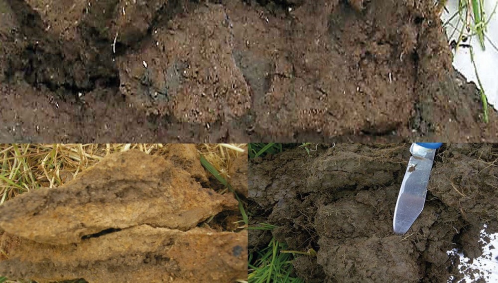 Examples of soil with a VESS score of 5